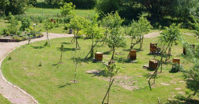 Landhotel zum Honigdieb Ribnitz-Damgarten Buitenkant foto