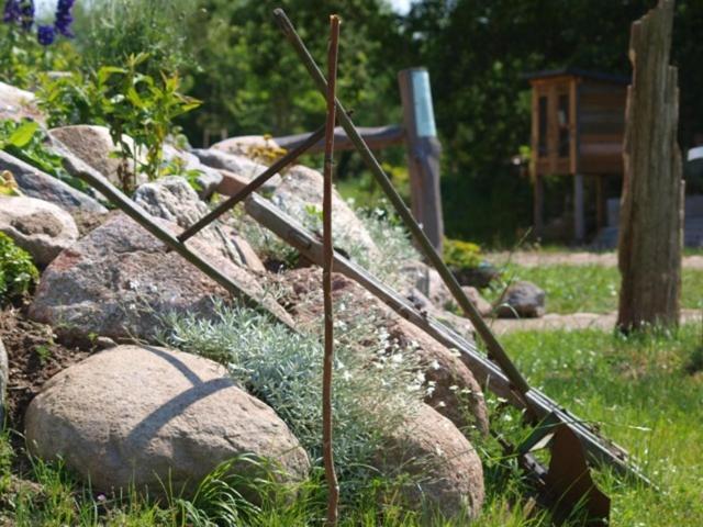 Landhotel zum Honigdieb Ribnitz-Damgarten Buitenkant foto